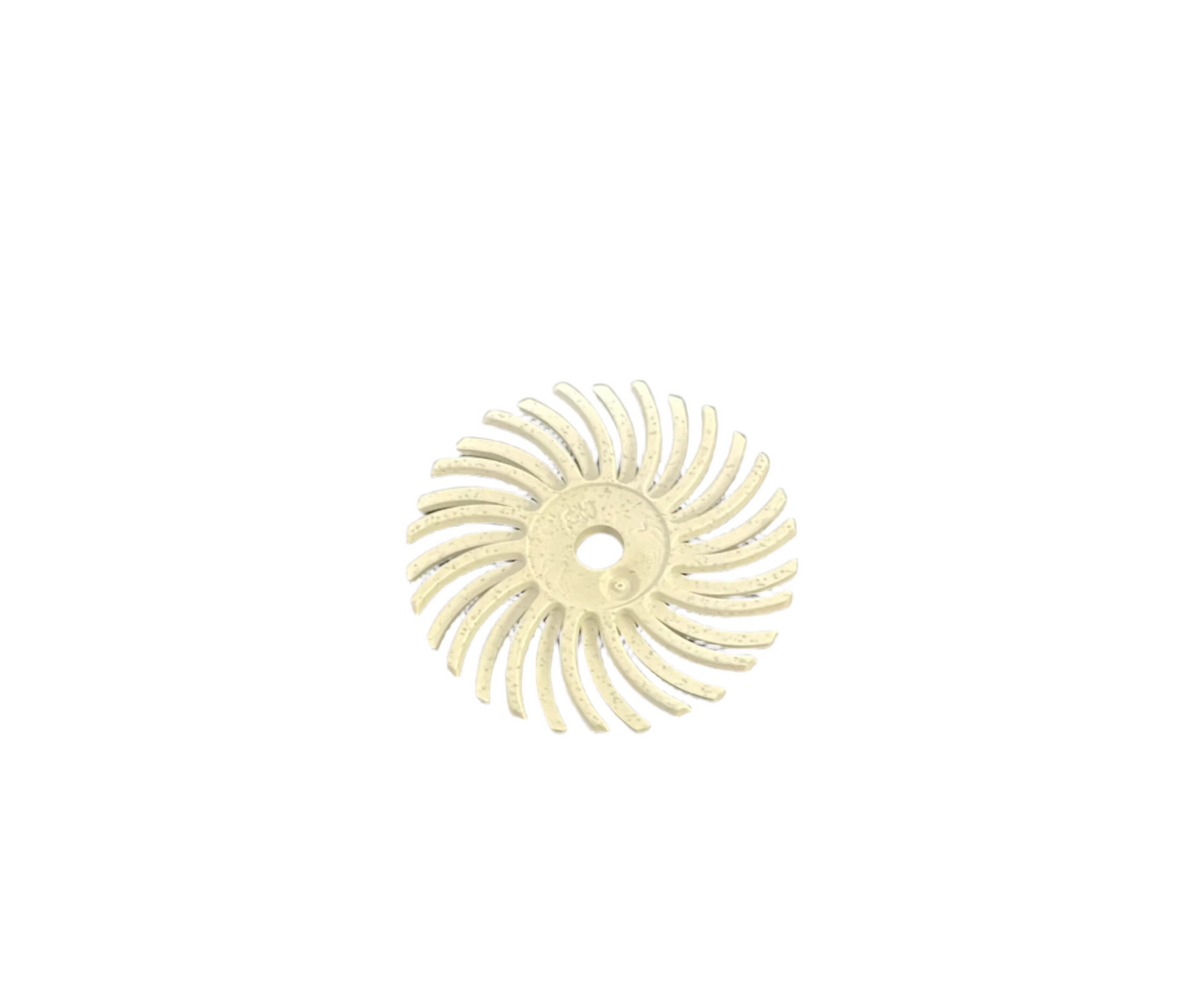 Radial bristal discs