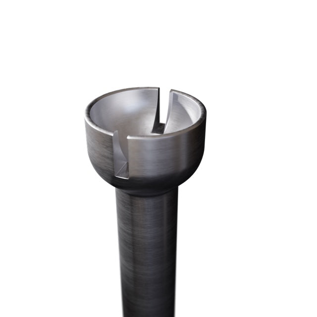 Cup Cut Burs
