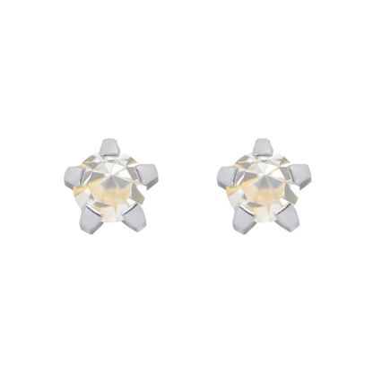 Regular Tiffany (Stainless Steel)